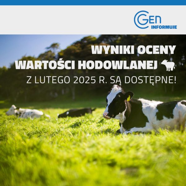 Wyniki OWH z lutego 2025 dostępne